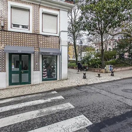 Flores - 22668al * Lisboa